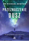 Przeznaczenie dusz. W poszukiwaniu życia po życiu
