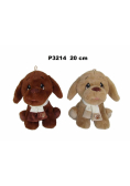 Pies 20cm MIX