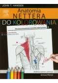 Anatomia Nettera do kolorowania