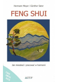 Feng shui Jak mieszkać i pracować w harmonii