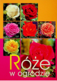 Róże w ogrodzie