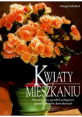 Kwiaty w mieszkaniu