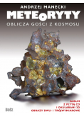 Meteoryty Oblicza gości z kosmosu