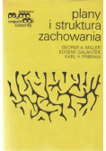 Plany i struktura zachowania