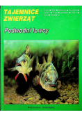 Podwodni łowcy