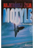 Najkrócej żyją motyle