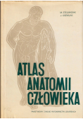 Atlas anatomii człowieka