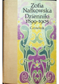 Dzienniki 1899 1905