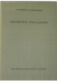 Geometria poglądowa