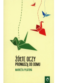 Żółte oczy prowadzą do domu