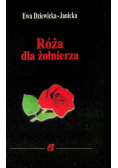 Róża dla żołnierza