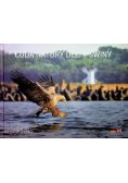 Cuda natury delty świny