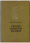 Zwierzę obdarzone rozumem