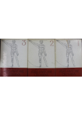 Atlas anatomii człowieka 3 tomy