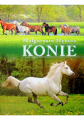 Konie