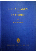 Grundlagen der anatomie