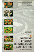Ozdobne rośliny jednoroczne i dwuletnie Uprawa w gruncie