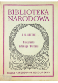 Cierpienie młodego Wertera