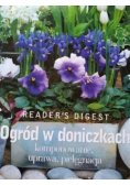 Ogród w doniczkach