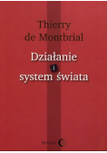 Działanie i system świata