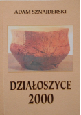 Działoszyce 2000