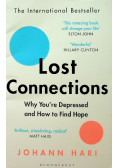 Lost Connections