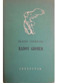 Rażony gromem