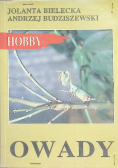 Owady w terrarium