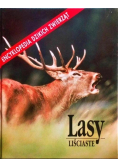 Lasy Liściaste Encyklopedia Dzikich Zwierząt