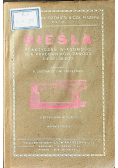 Cieśla 920 r.