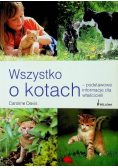 Wszystko o kotach