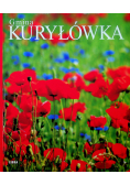 Gmina Kuryłówka