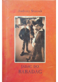 Jadąc do Babadag