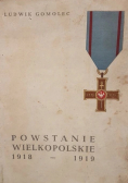 Powstanie wielkopolskie 1918 1919