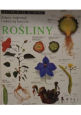 Rośliny