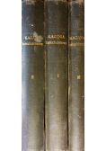 Kazania katechizmowe tom od I do III 1930r