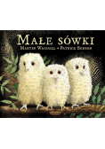 Małe sówki