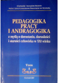 Pedagogika pracy i andragogika