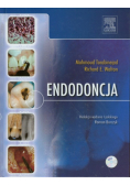 Endodoncja