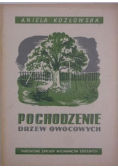 Pochodzenia  drzew owocowych