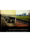 Auschwitz Birkenau The Place Where You Are Standing