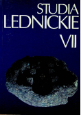 Studia Lednickie VII