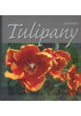 Tulipany