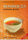 Kombucza Cudowny grzyb
