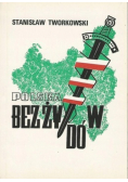 Polska bez Żydów