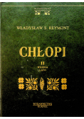 Chłopi Wiosna Lato