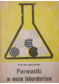 Pierwiastki w moim laboratorium