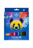 Kredki Triocolor Niedźwiedź  36 kolorów