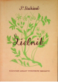 Zielnik
