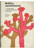 Rośliny zarodnikowe